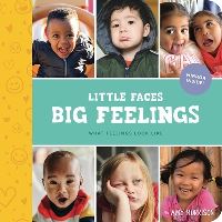 Book Cover for Little Faces Big Feelings by Amy Morrison