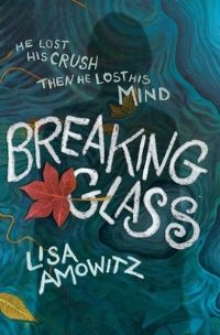 Book Cover for Breaking Glass by Lisa Amowitz