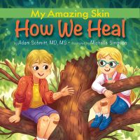 Book Cover for How We Heal by Adam Schmitt