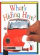 Image for Snapshot Flap Book:  2 What&#39;s Hiding Here?