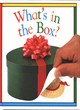 Image for Snapshot Flap Book:  4 What&#39;s In The Box?