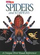 Image for Spiders and Scorpions