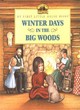 Image for Winter days in the Big Woods  : adapted from the Little House books