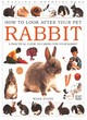 Image for How To Look After Your Pet:  Rabbit