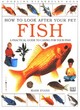 Image for How To Look After Your Pet:  Fish