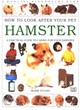 Image for How To Look After Your Pet:  Hamster