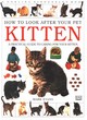 Image for How To Look After Your Pet:  Kitten