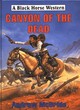 Image for Canyon of the Dead
