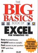 Image for The big basics book of Excel for Windows 95