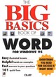 Image for The big basics book of Word for Windows 95
