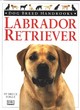 Image for Dog Breed Handbook:  2 Labrador Retriever