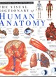 Image for The visual dictionary of human anatomy