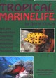 Image for Tropical Marine Life