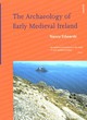 Image for The Archaeology of Early Mediaeval Ireland