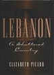 Image for Lebanon  : a shattered country