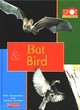 Image for Spot the Difference: Bat and Bird         (Cased)