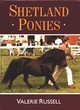 Image for Shetland ponies