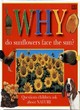 Image for Why do Sunflowers Face the Sun?