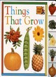 Image for Snapshot Tab Board Book:  5 Things That Grow