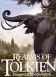Image for Realms of Tolkien