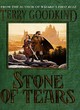 Image for Stone of tears