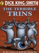 Image for The Terrible Trins