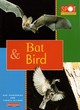 Image for Spot the Difference: Bat and Bird        (Paperback)