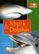 Image for Spot the Difference: Shark and Dolphin      (Paperback)