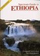 Image for Spectrum Guide to Ethiopia