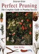 Image for Step-by-step perfect pruning