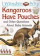 Image for I Wonder Why Kangaroos Have Pouches and Other Questions About Baby Animals