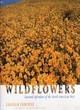 Image for Wildflowers