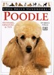 Image for Dog Breed Handbook:  6 Poodle