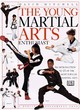 Image for The young martial arts enthusiast