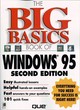 Image for The Big Basics Book of Windows 95