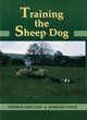 Image for Training the sheep dog