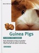 Image for Guinea pigs  : how to care for them, feed them, and understand them
