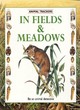Image for In fields &amp; meadows