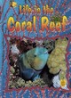 Image for Life in the Coral Reef