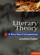Image for Literary theory