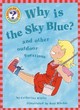 Image for Why is the Sky Blue?