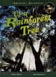 Image for Up a rainforest tree