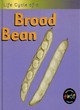 Image for Broad Bean