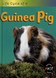 Image for Life cycle of a guinea pig