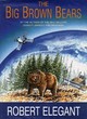 Image for The big brown bears