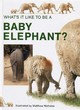 Image for What&#39;s it like to be a baby elephant?