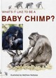 Image for What&#39;s it like to be a baby chimp?