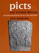 Image for Picts and Ancient Britons