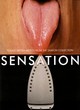 Image for Sensation  : young British artists from the Saatchi Collection