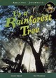 Image for Amazing Journeys: Up a Rainforest Tree        (Paperback)